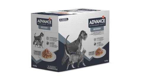 ADVANCE VETERINARY DIETS WET RECOVERY DOG&CAT konservai katėms ir šunims atsigavimui po ligos