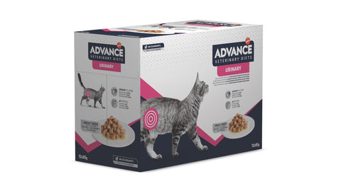 ADVANCE VETERINARY DIETS WET URINARY CAT konservai suaugusioms katėms turinčioms šlapimo takų problemų